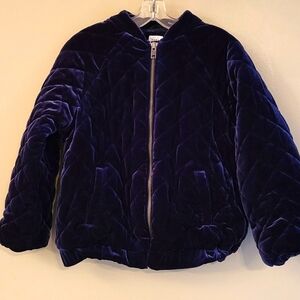 Baby Gap heavy velvety quilted zip up jacket